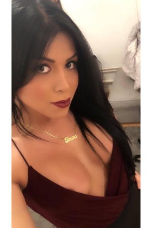 Marion - rencontre-Cougar-Argenteuil